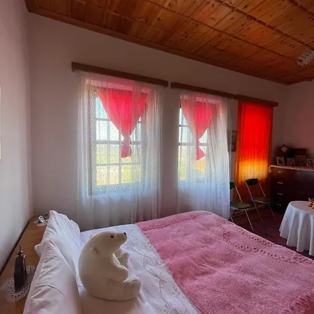 Leta House * Berat