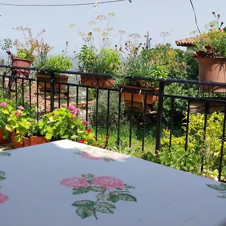 Leta House Berat